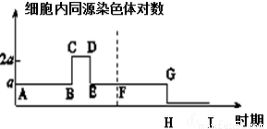 深海热泉生态系统中的硫细菌角色分析